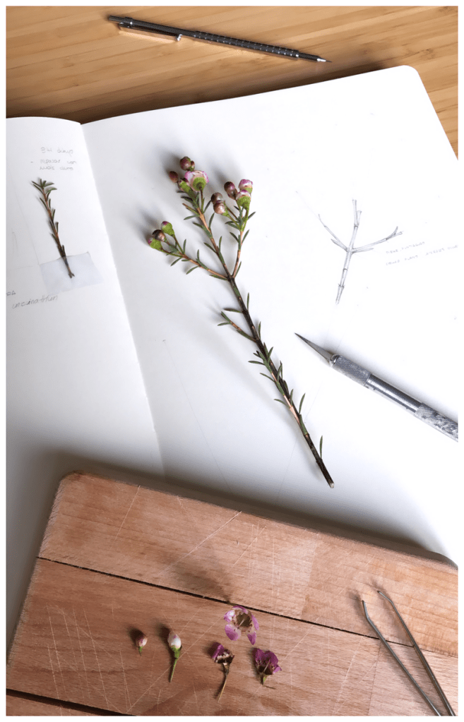 La imagen tiene un atributo ALT vacío; su nombre de archivo es proceso1.png